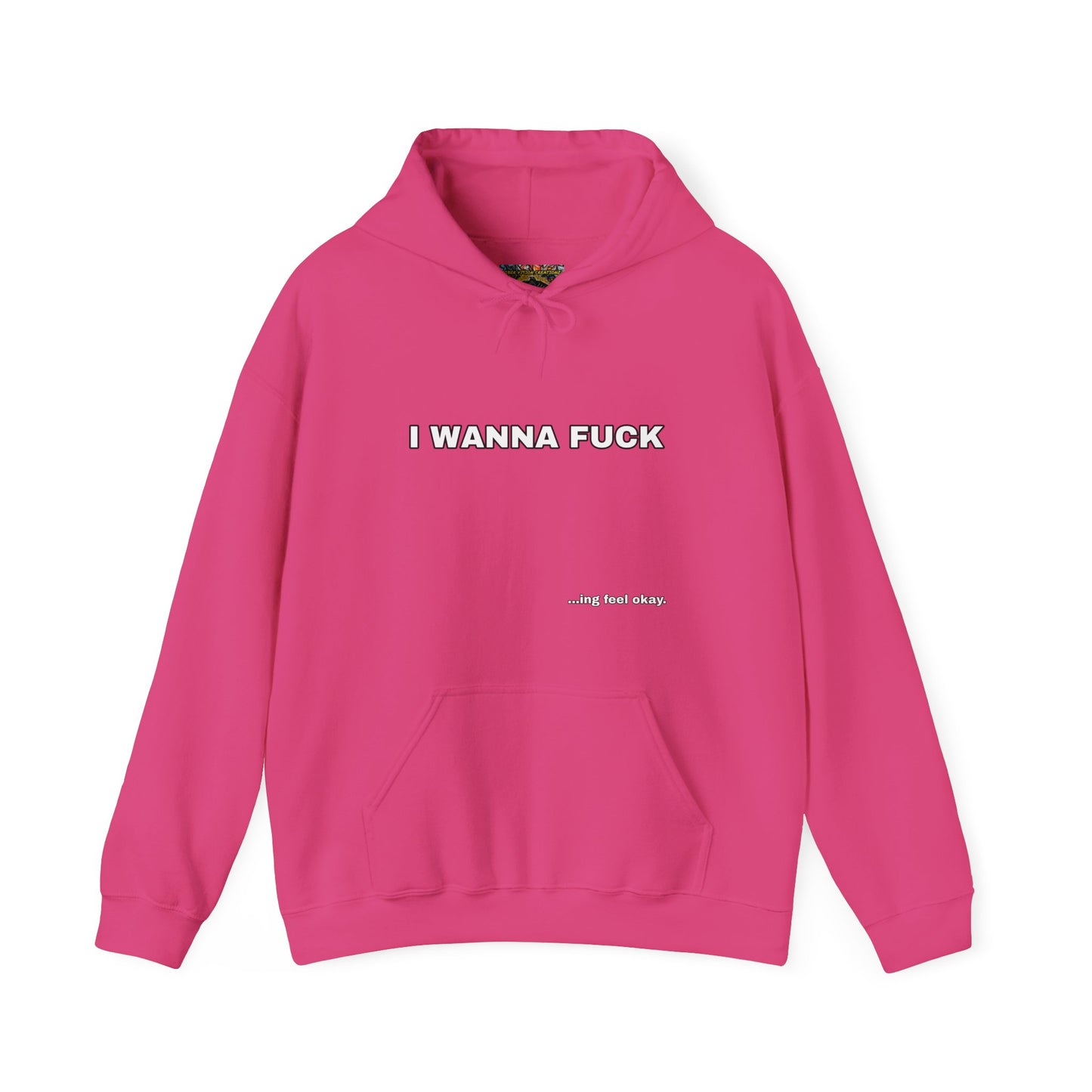 I WANNA FUCKing feel okay Hoodie Unisex Sweatshirt, Casual Streetwear, Funny Gift, Relaxed Fit