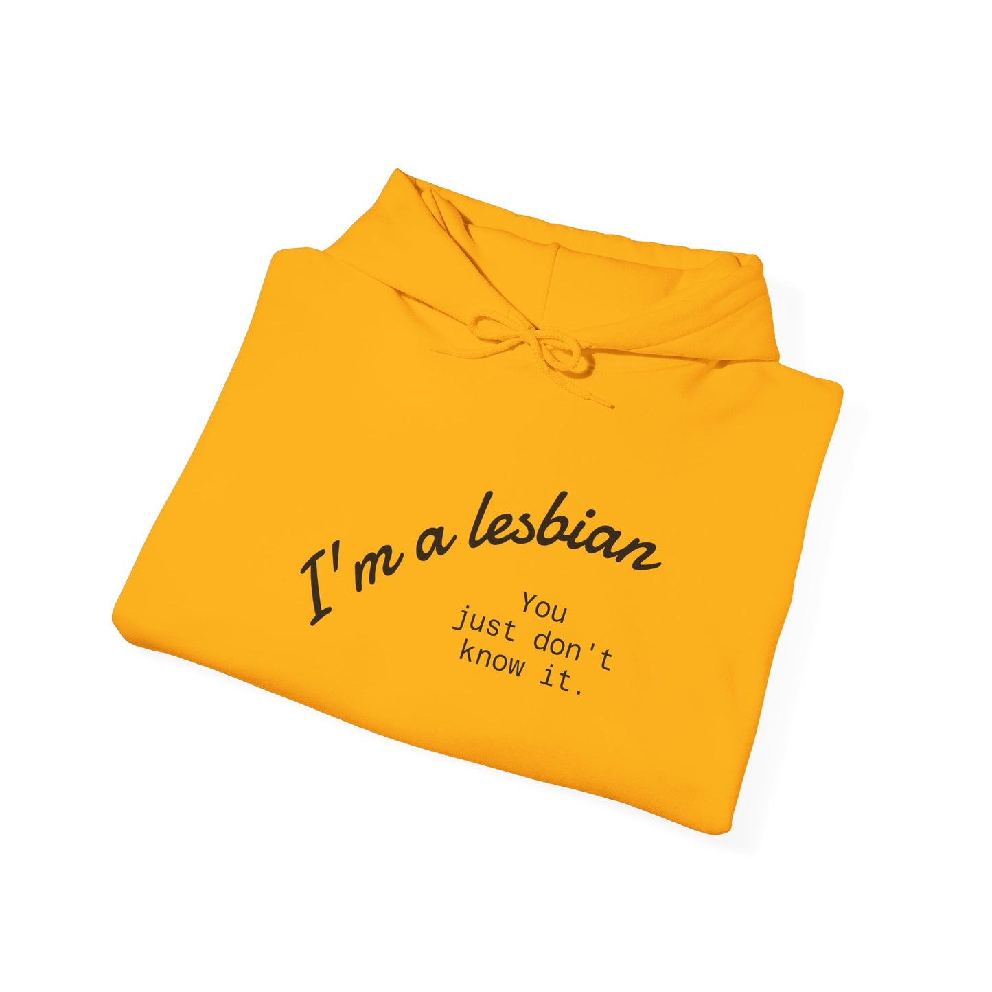 I'm a lesbian Hoodie, Unisex Sweatshirt, Casual Wear, Inclusive Gift