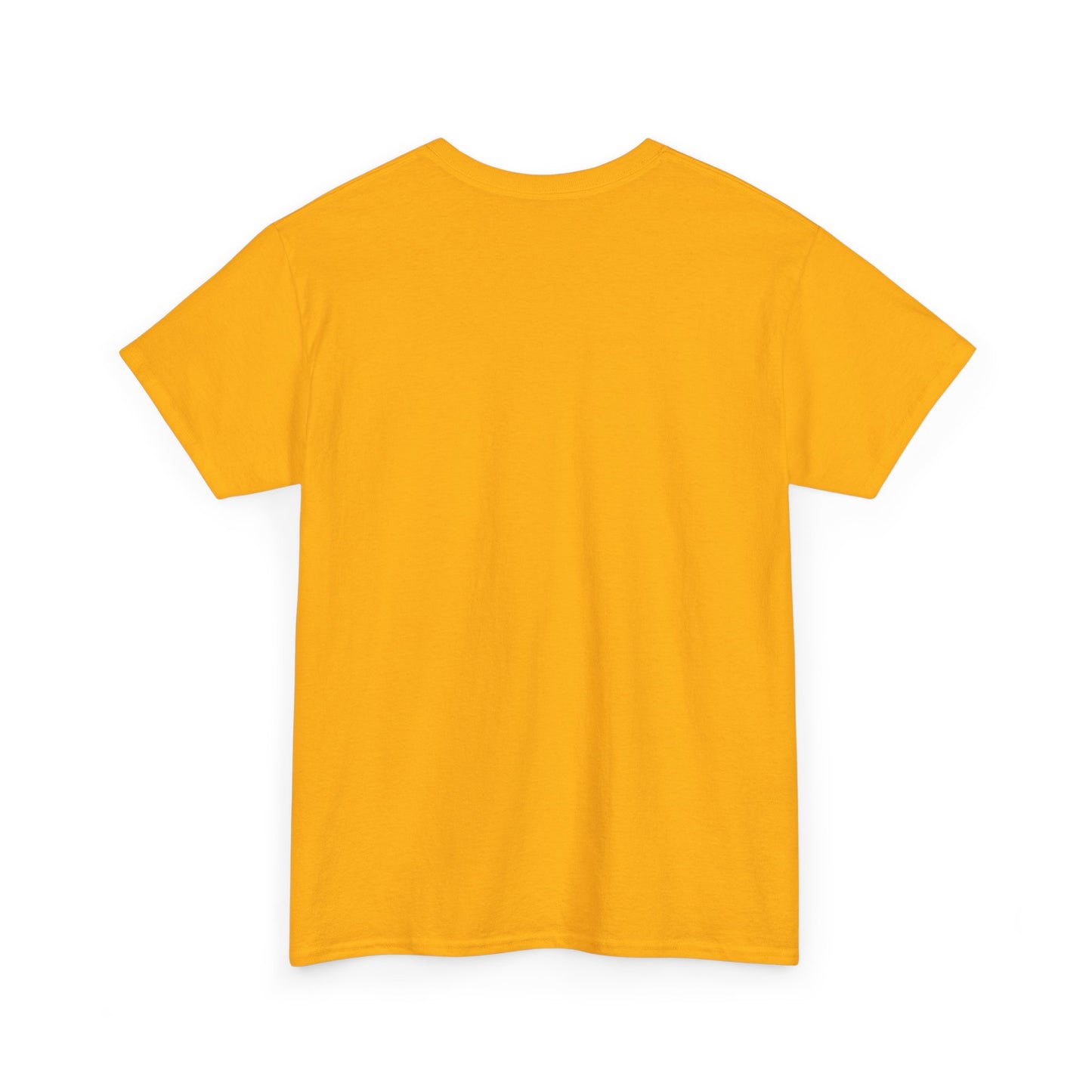 Convict All States Unisex Heavy Cotton Tee - Casualwear, Street Style, Gift for Him/Her, Retro Vintage Shirt, Fun Graphic Tee
