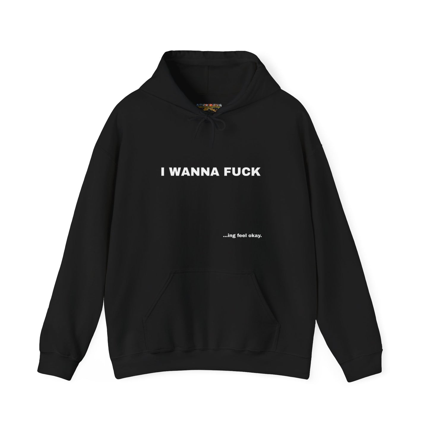 I WANNA FUCKing feel okay Hoodie Unisex Sweatshirt, Casual Streetwear, Funny Gift, Relaxed Fit