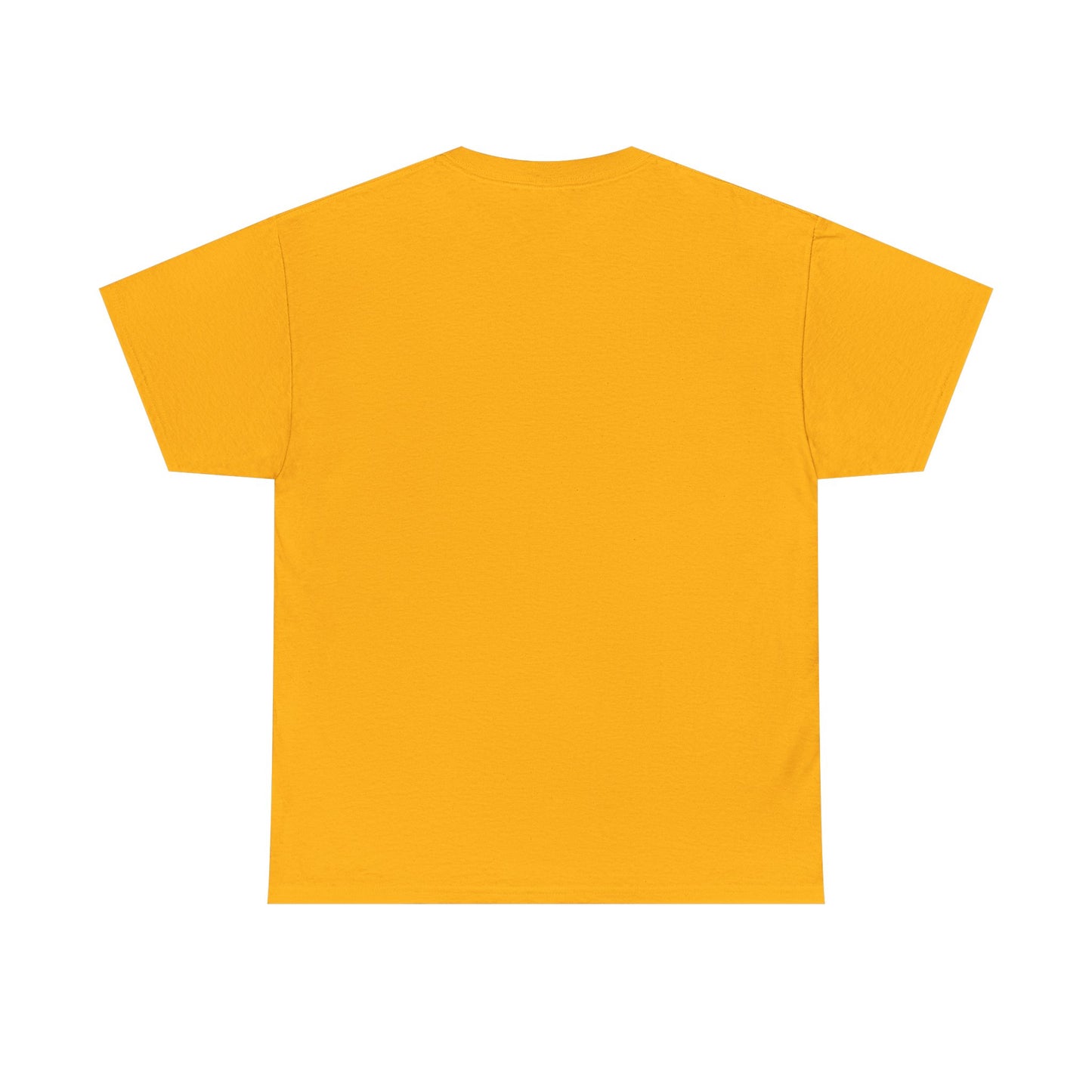 Convict All States Unisex Heavy Cotton Tee - Casualwear, Street Style, Gift for Him/Her, Retro Vintage Shirt, Fun Graphic Tee