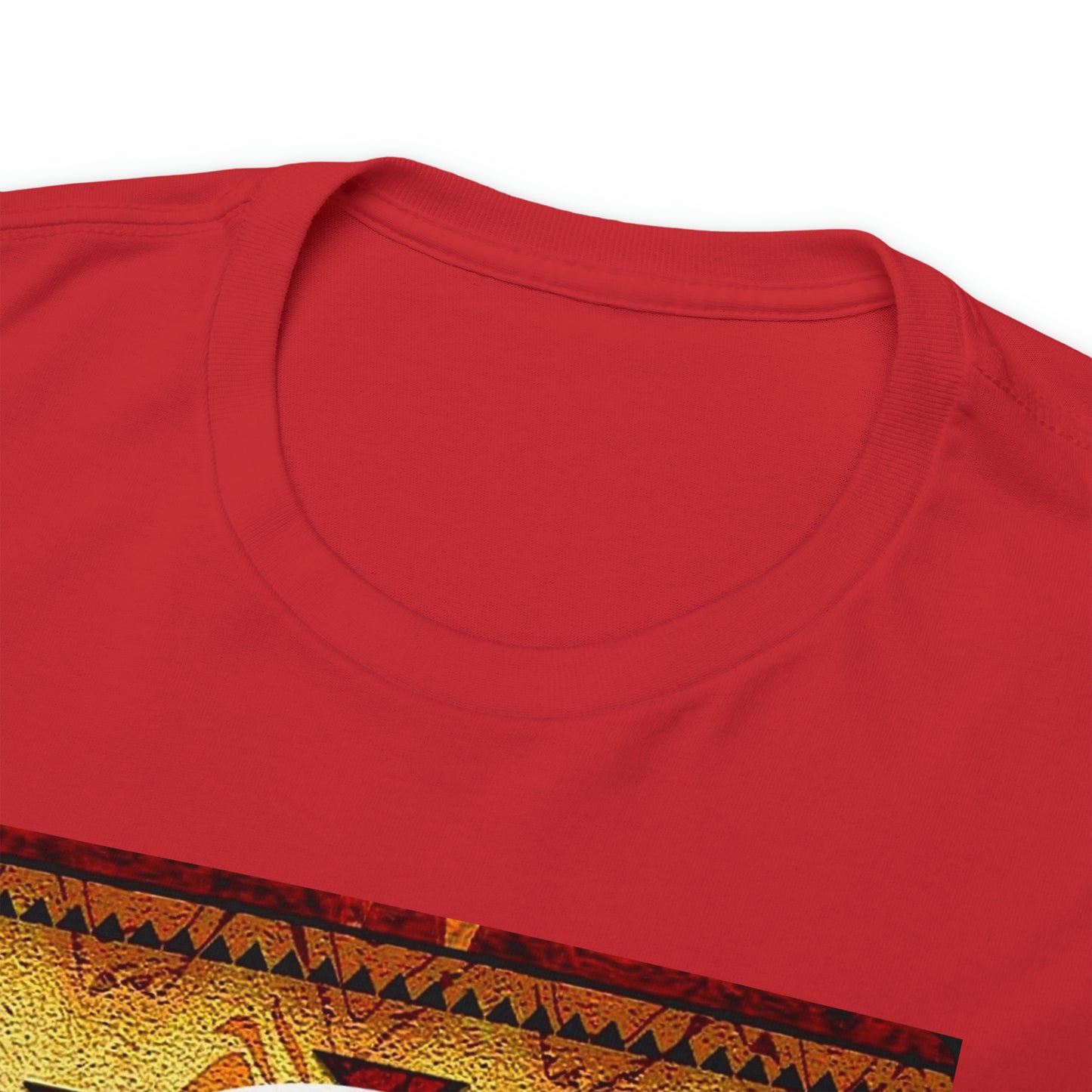 Unisex (Hooo Just Indigenous) Heavy Cotton Tee