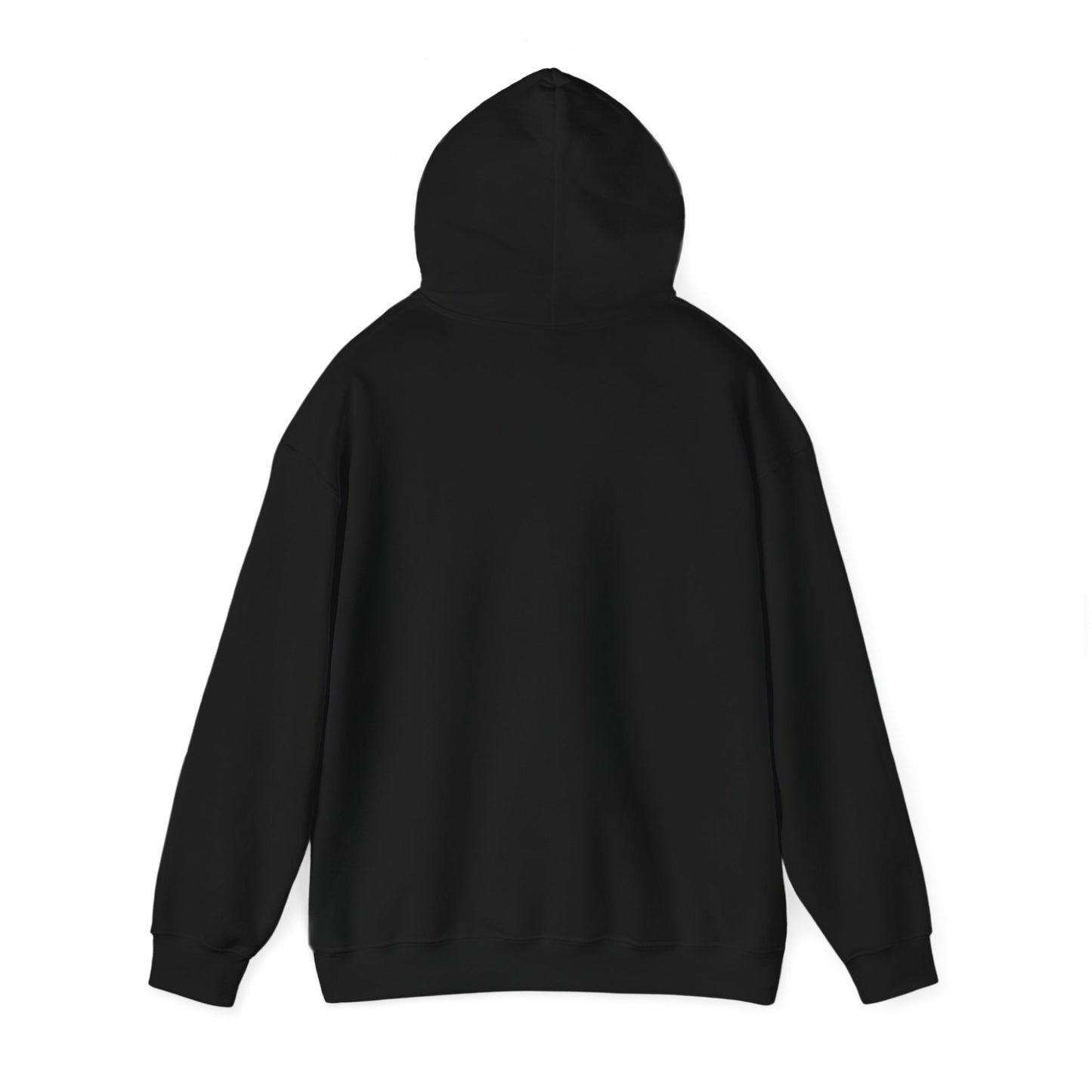 Sober Life Unisex Heavy Blend™ Hooded Sweatshirt