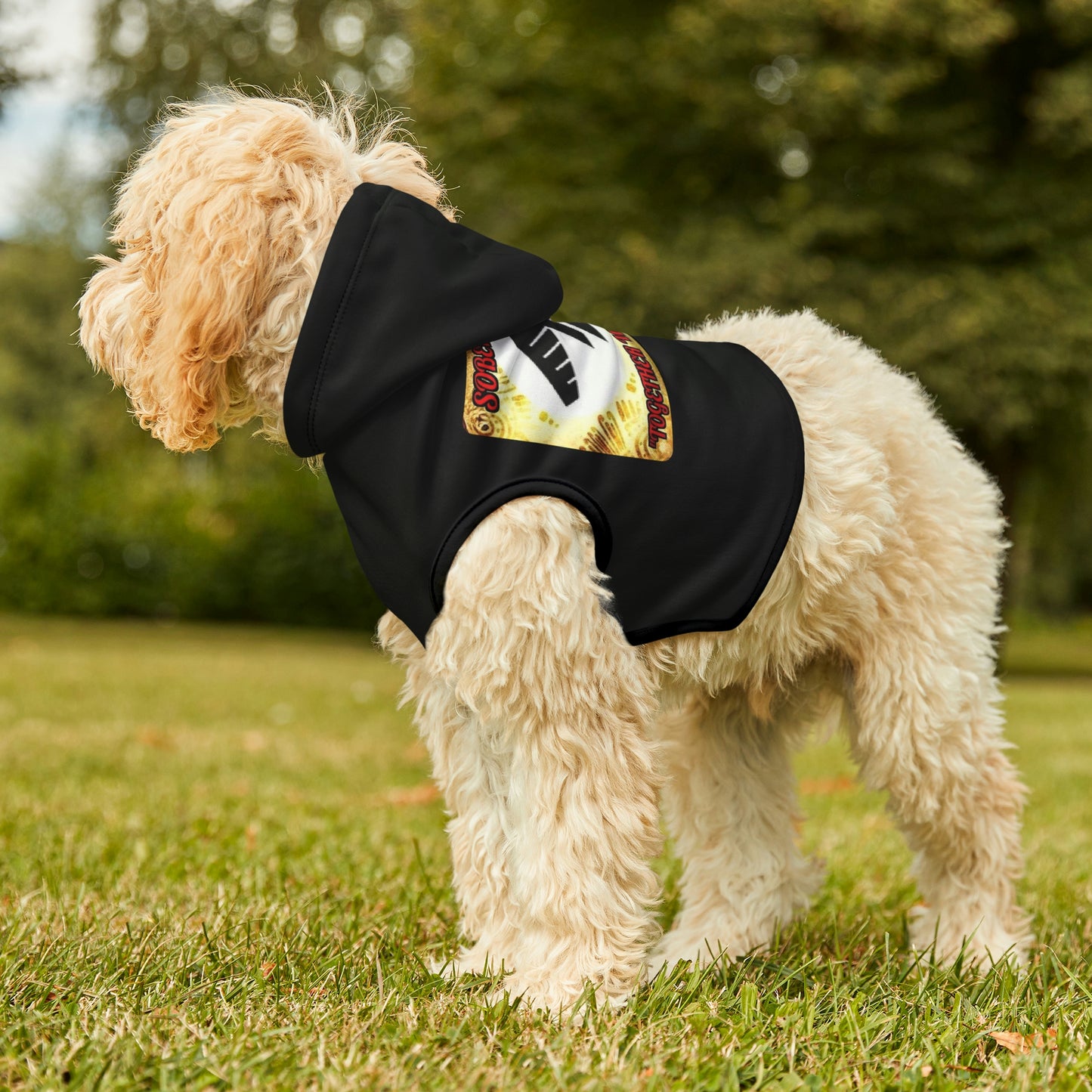 Sober Visionz Pet Hoodie