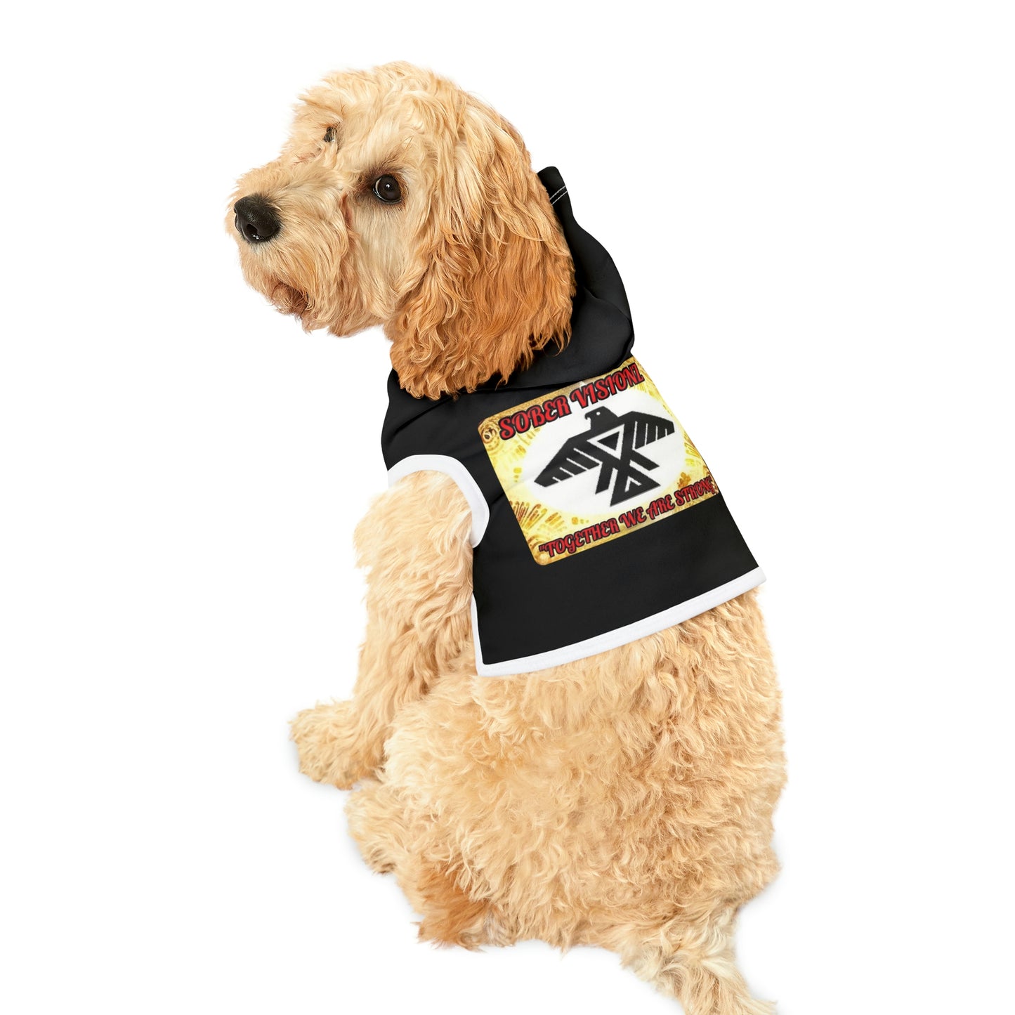 Sober Visionz Pet Hoodie