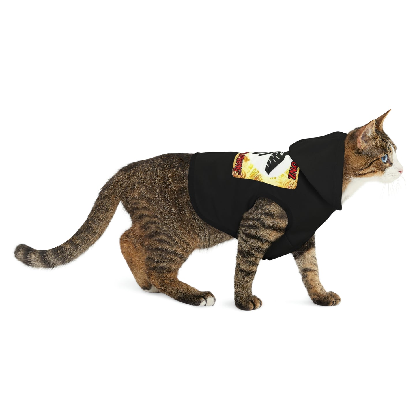 Sober Visionz Pet Hoodie